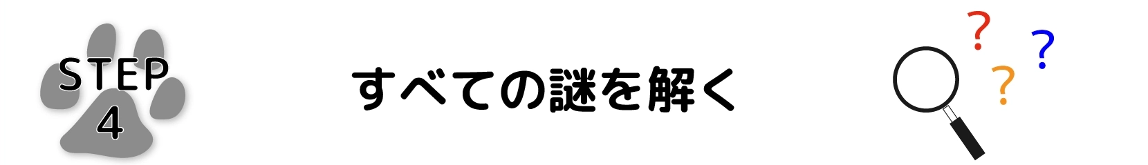 すべての謎を解く