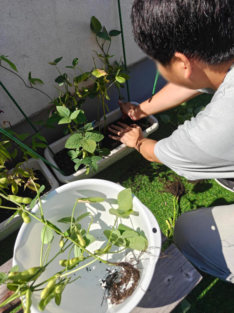 収穫！！